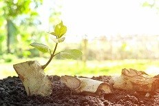 תנשמו עמוק-תמונה